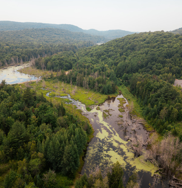 La MRC de Montcalm annonce l'adoption de son Plan régional des milieux humides et hydriques par le Ministère de l'Environnement