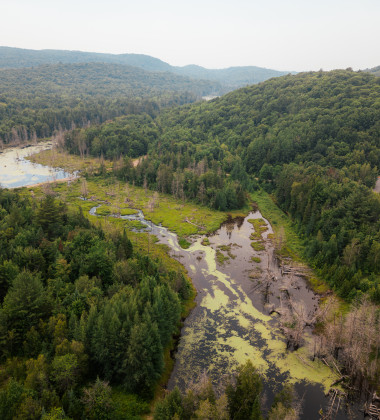 La MRC de Montcalm annonce l'adoption de son Plan régional des milieux humides et hydriques par le Ministère de l'Environnement