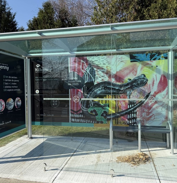 Une vitrine artistique d'envergure en vue de l'ouverture du Parc régional de Kilkenny